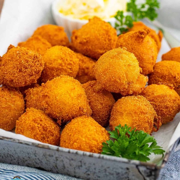 Hush Puppy